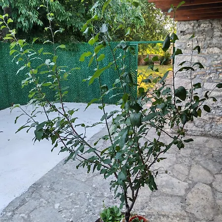 Bozini Dvori *